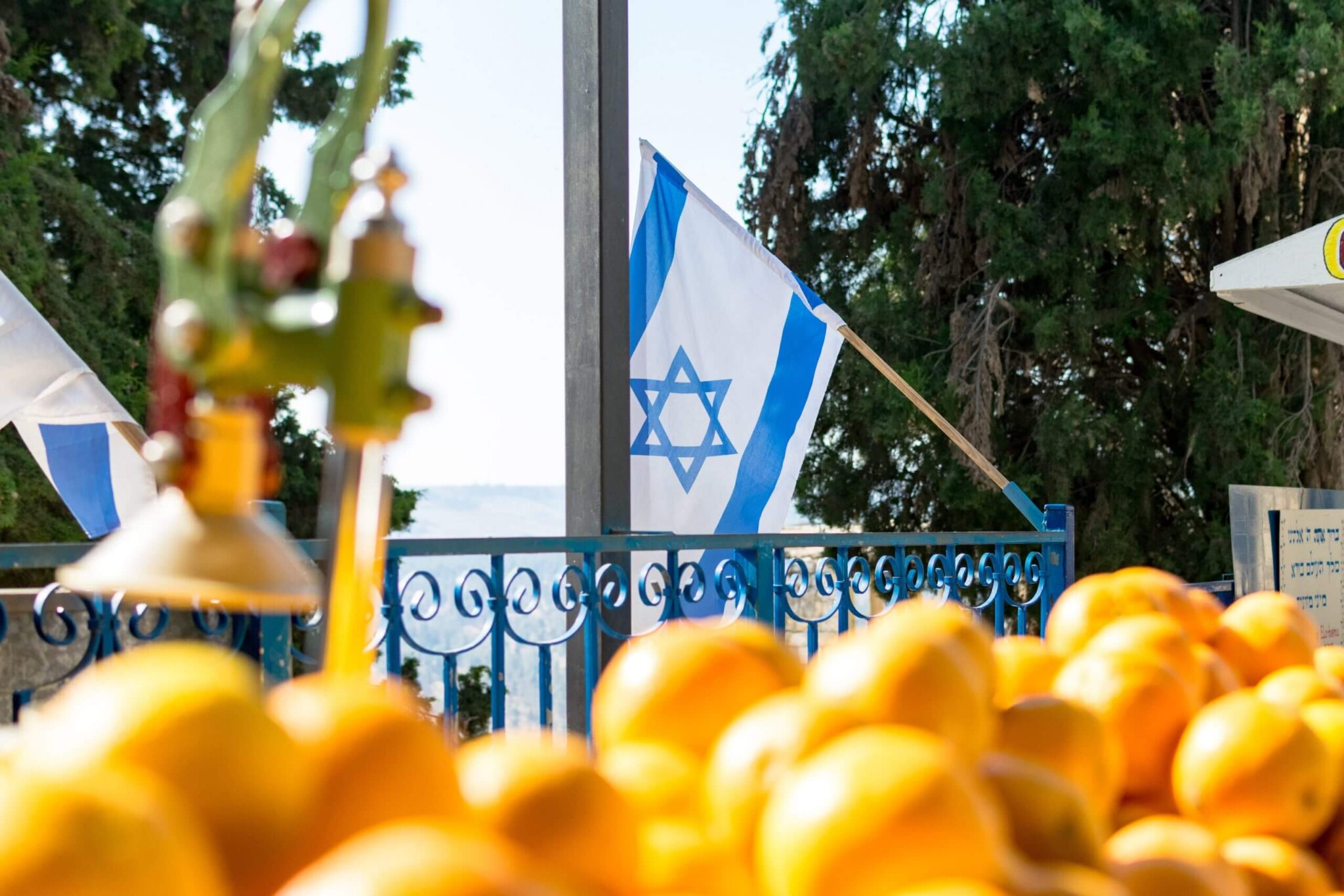 Israel Flag