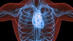 Eliquis is the most effective anticoagulant medication currently prescribed for patients with atrial fibrillation