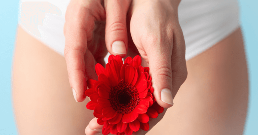 Woman in Panties Holding Gerbera, GSM