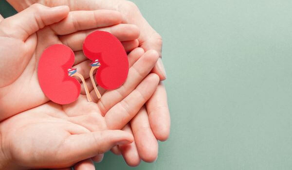 Adult and child holding kidney shaped paper on textured blue background, world kidney day, National Organ Donor Day, concept