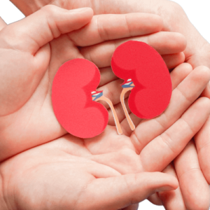 healthy kidneys
