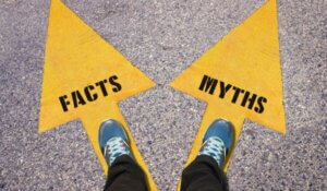 Facts and Myths painted on road
