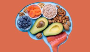 Brain Food Concept - Nutritious Ingredients Shaping Human Brain for Cognitive Health