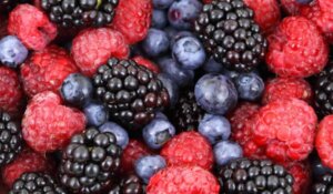 Variety of Berries