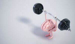 Train your brain! Brain exercise 