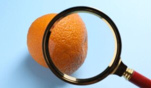 Cellulite Problem. Zoomed Orange Peel on Light Blue Background,