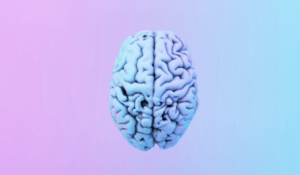 Changing how the brain processes the outside world 
