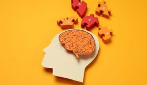 What causes OCD?