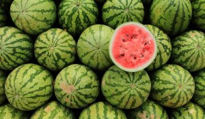 Lycopene helps protect the skin from UVA and UVB rays.
