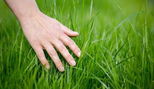 Notice 3 sensations that can be physically felt
