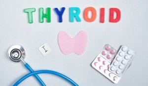 The thyroid gland is found in the front of the neck, just below the voice box (larynx)