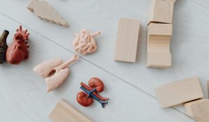 What about non-diabetic CKD