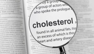 Prevention and Treatment of Hyperlipidemia
