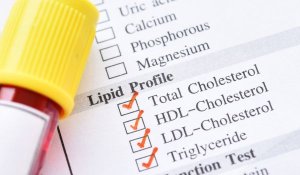 What is high cholesterol