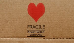 frailty and demetia are linked