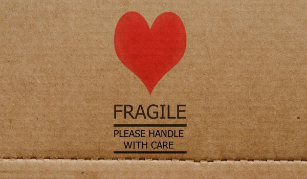 frailty and demetia are linked