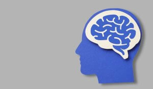 the brain and the body