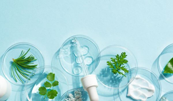 treat fungal infections