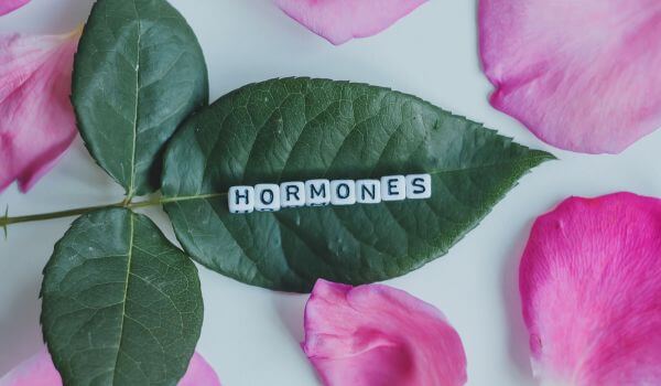 Hormones word cubes on a white background