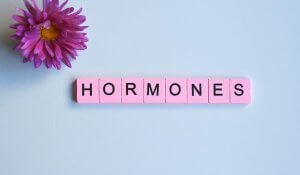 Hormones word wooden cubes on a white background