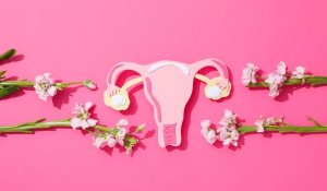 An illustration of a uterus with flowers for uterine and vaginal health