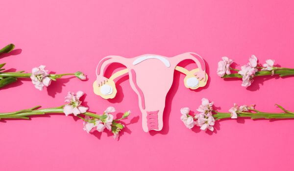 An illustration of a uterus with flowers for uterine and vaginal health